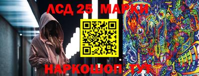 ПСИЛОЦИБИНОВЫЕ ГРИБЫ Донской