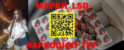 индика Дубна