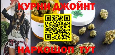индика Дубна