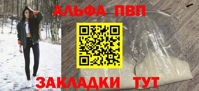 индика Дубна